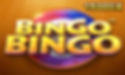 BingoBingo