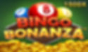 BingoBonanza